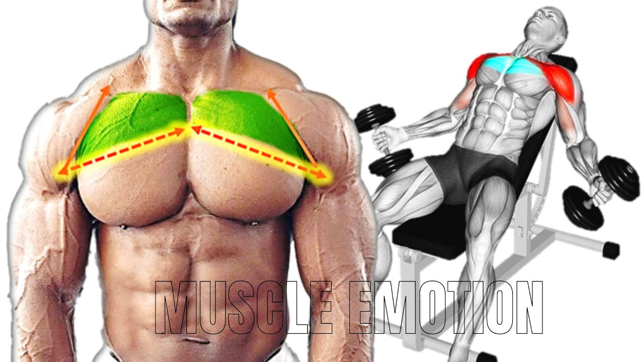 12 BEST UPPER CHEST WORKOUT WITH DUMBBELLS ONLY AT HOME OR GYM