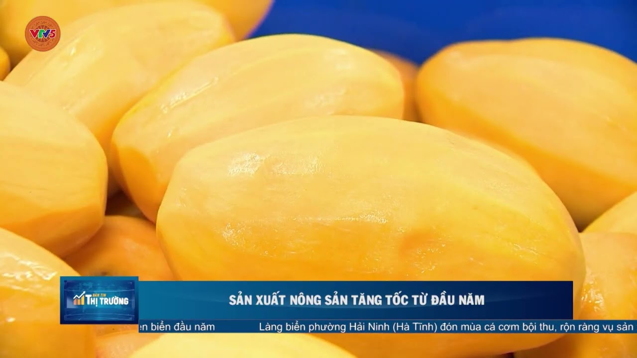 SẢN XUẤT NÔNG SẢN TĂNG TỐC TỪ ĐẦU NĂM | VTV5