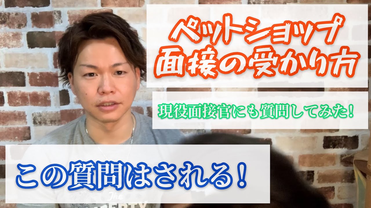 【ペットショップ面接の受かり方】現役スタッフにも面接時に質問すること聞いてみた！