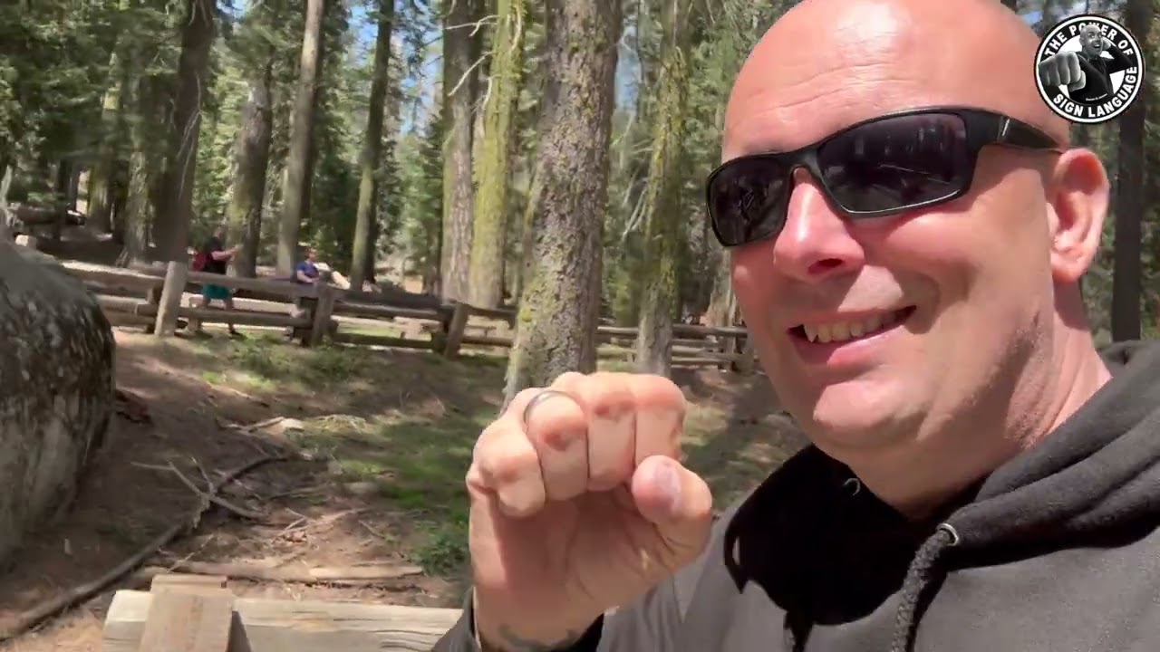 25 May 2024 - Sequoia National Park 😜😜😜