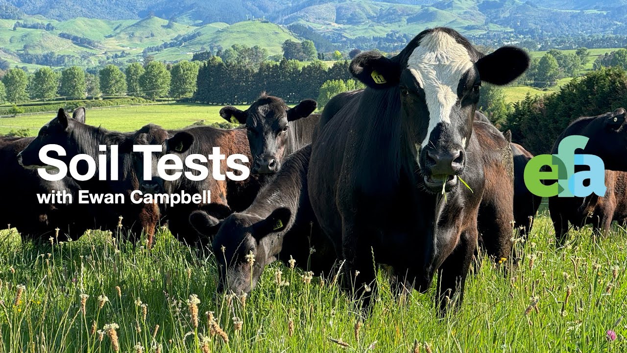 The Ultimate Farm Soil Test to Save Money, Time & Maximize Regenerative Production!