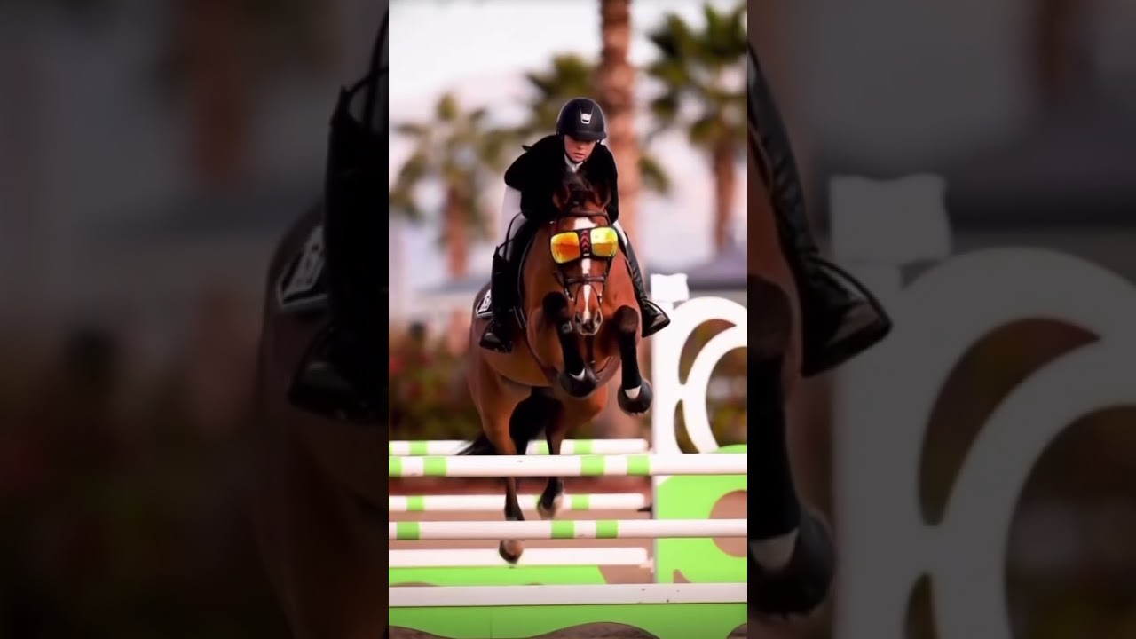 have you seen a horse wearing sun glasses!?