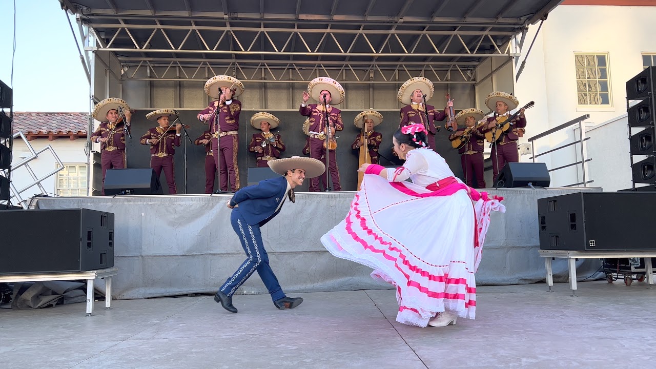 El Pasajero - Mariachi Los Camperos