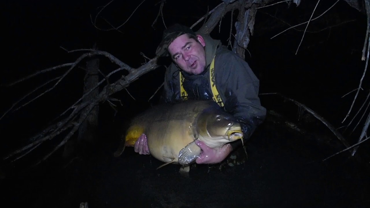 Natura Carpe