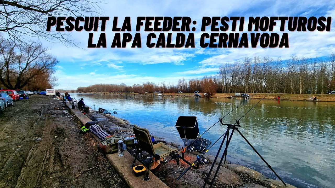 Pescuit la Feeder pe Canalul cu Apa Calda Cernavoda: O prima partida de anul nou