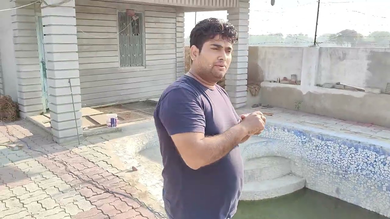 Farm house Nabinagar#wairalvideo #trendingvideoHorse Astabal 