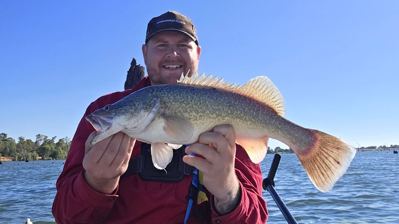 Another Collective. December/January. MurrayCod & RedFin 