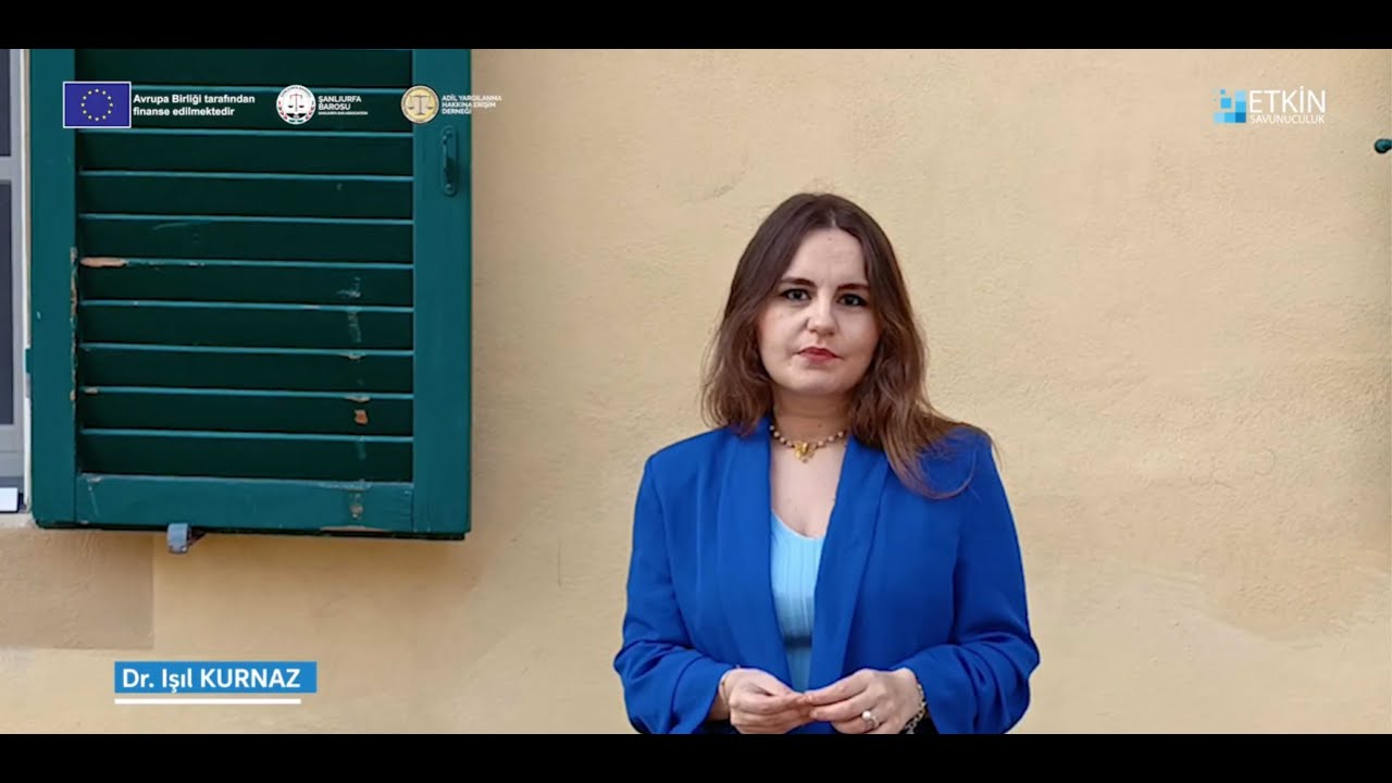 KADIN HAKLARI DAVALARINDA BAROLARIN MÜDAHİLLİĞİ: DENEYİMLER VE ENGELLER