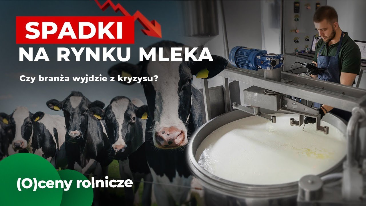 Kolejne spadki na rynku mleka! Co się dzieje z branżą?