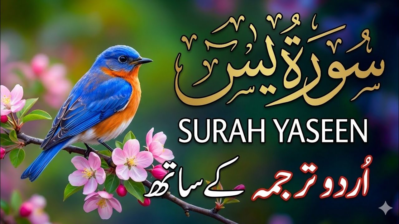 Surah Yaseen Full | Surah Yasin Recitation with Urdu Translation | Heart Touching Tilawat | Eps 14