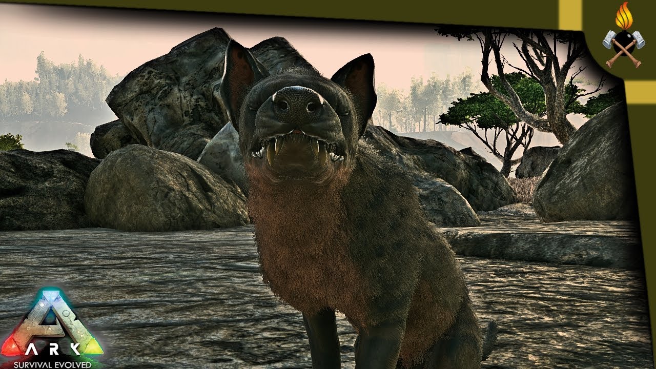 ARK How to tame:  Hyaenodon