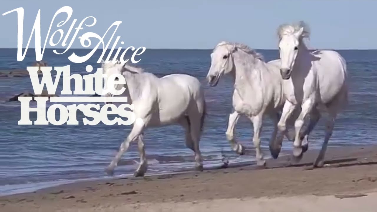 Wolf Alice - White Horses