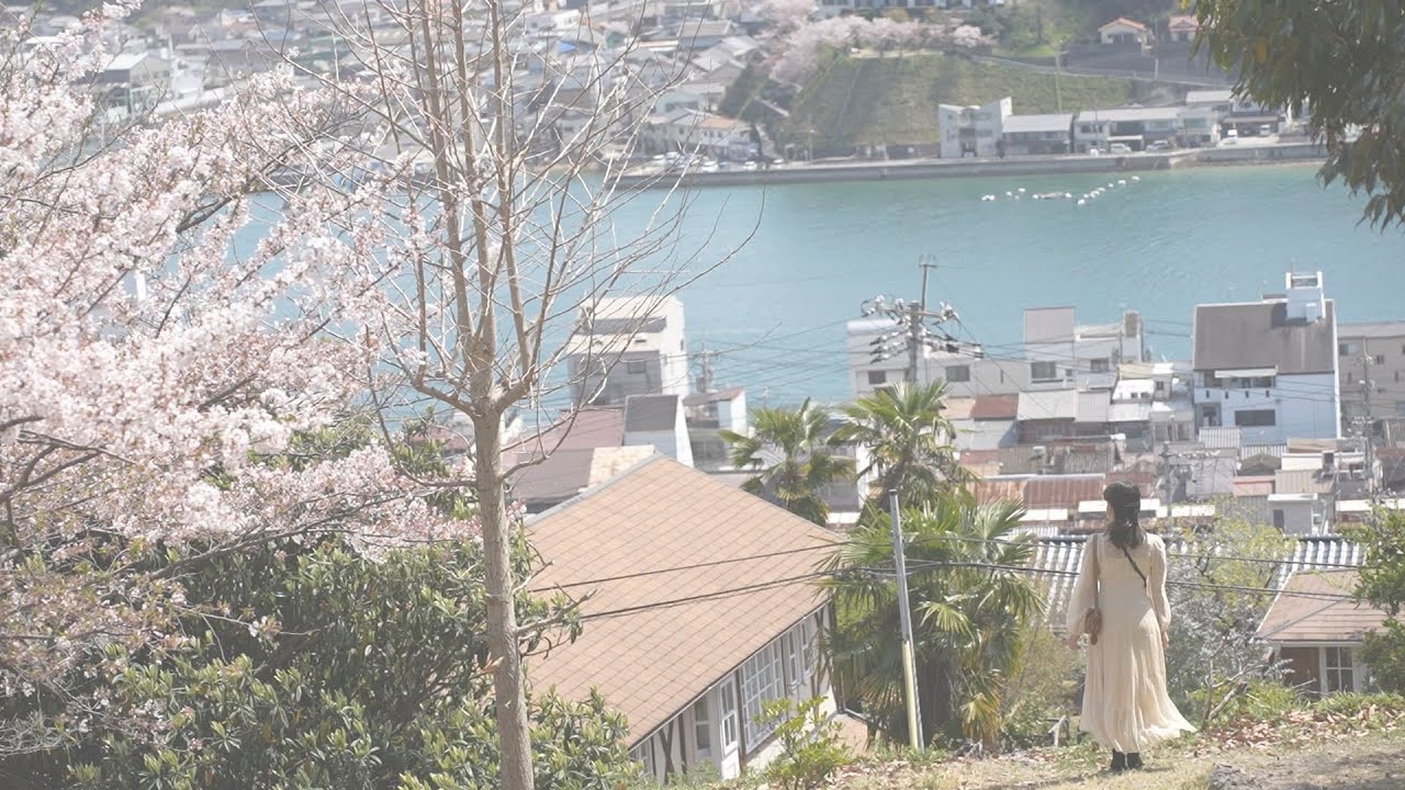 【旅ログ】まるでジブリ映画の中を散歩しているよう。ここでしか見れない絶景の桜景色。懐かしい思い出の中のような景色が続く尾道で猫歩き。