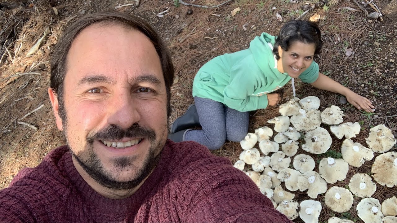 Bu sefer mantarı bulduk (Ak Melki) ✌️
