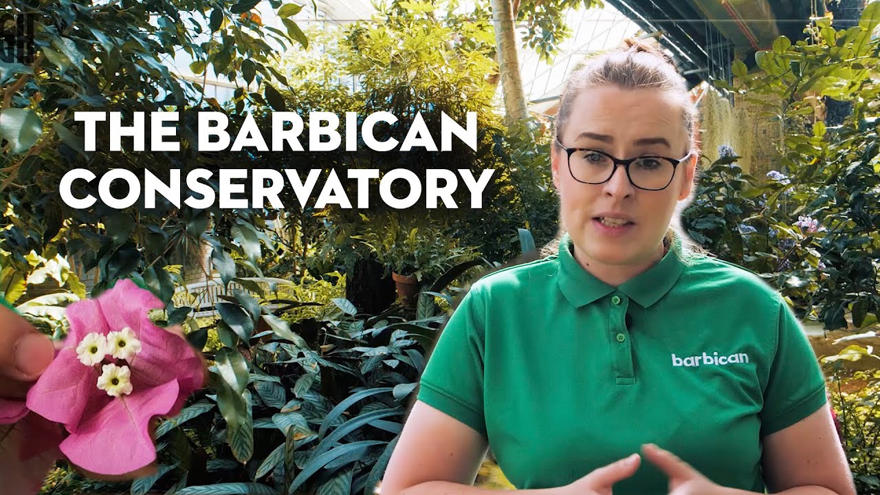The Barbican Conservatory | Good Housekeeping UK
