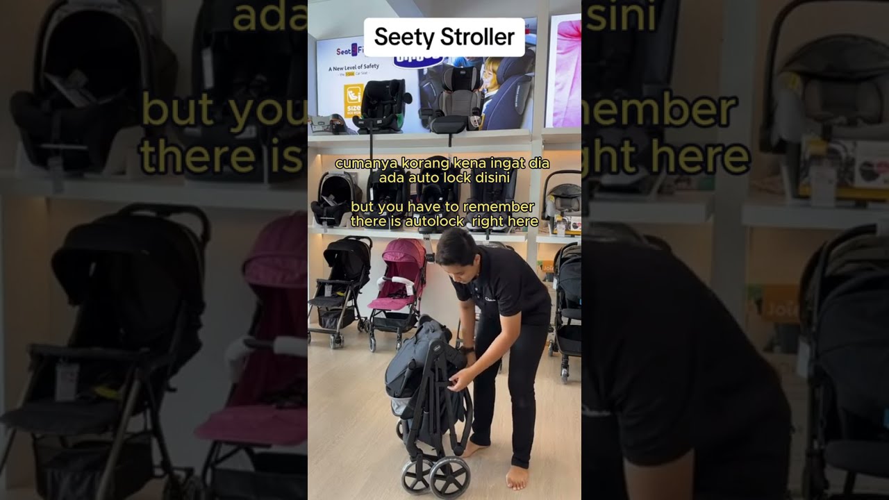 Chicco Seety Stroller