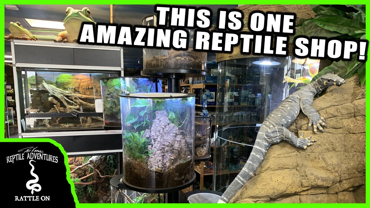 TOURING THE COOLEST REPTILE SHOP IN TEXAS! (DFW Reptarium)