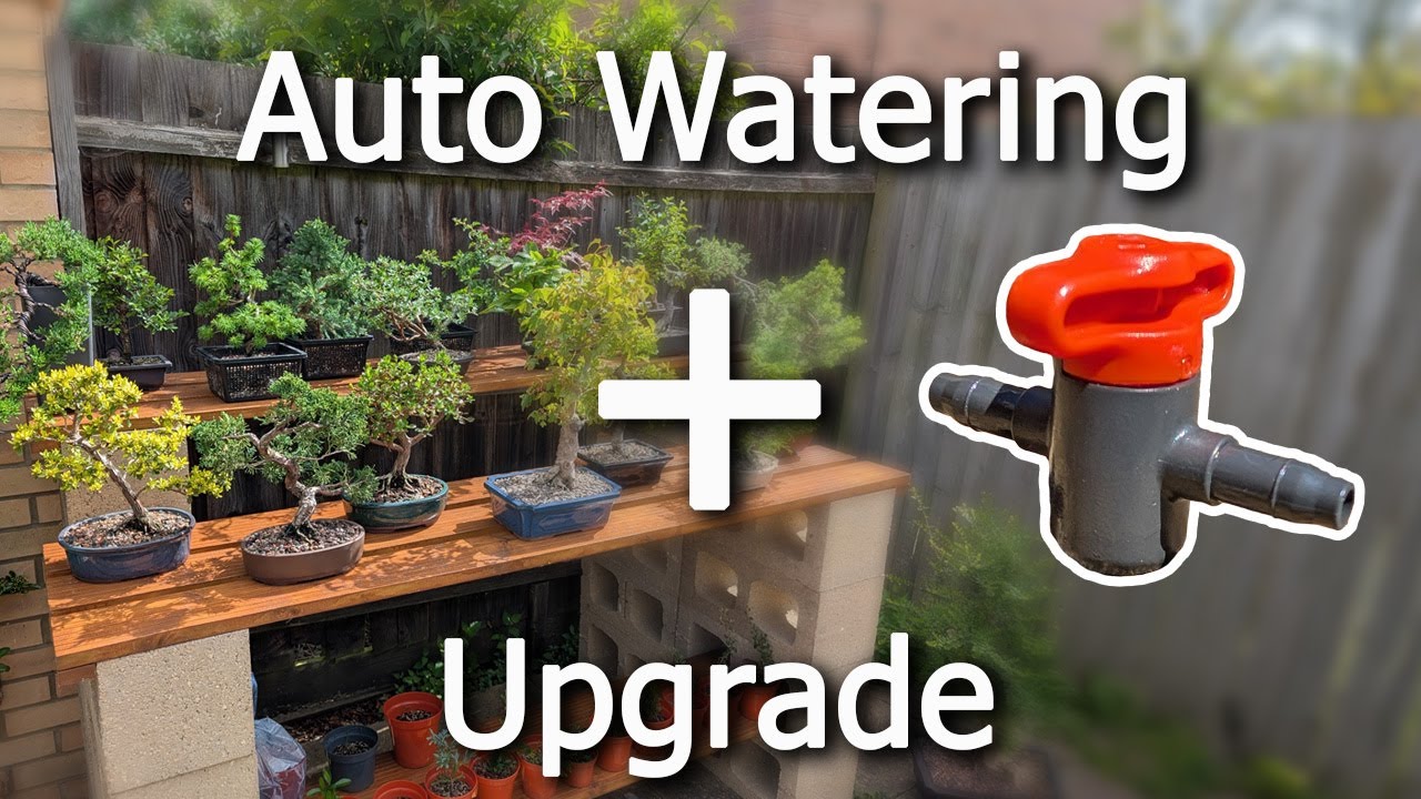 Bonsai Auto Watering System Upgrade