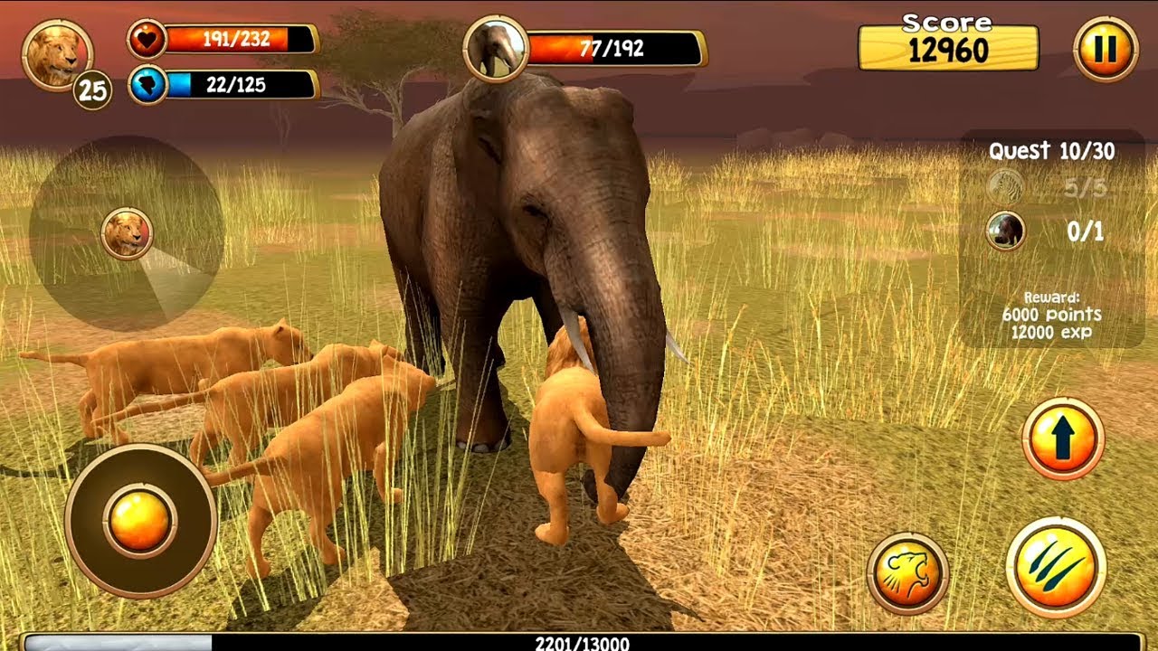 Wild Lion Simulator 3D Android Gameplay HD #5