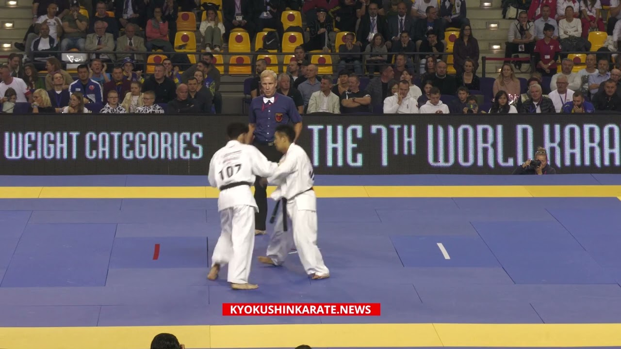 7th WKO WC: 1/4 -75 Haruto Fujita (Japan, aka) - David Mskhaladze (Georgia)