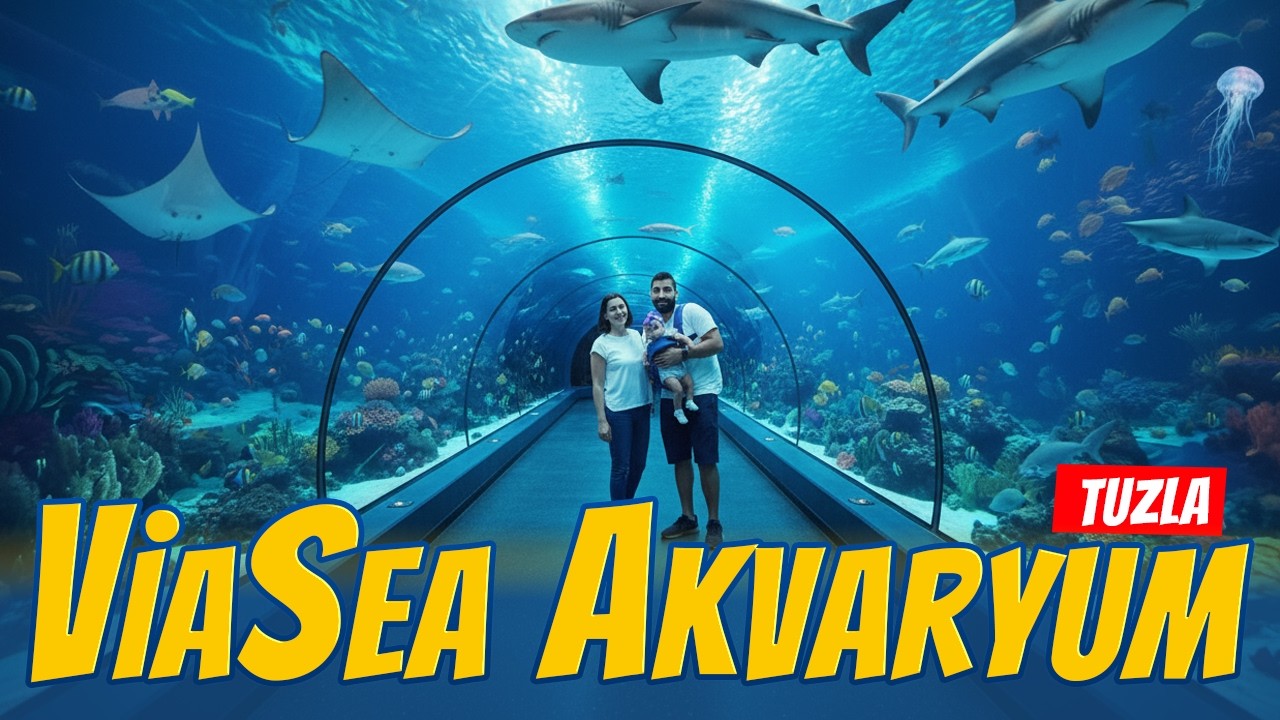 🐢Tuzla&rsquo;da Okyanus Havası! 🌊🐠 ( Tuzla ViaSea Akvaryum ) 🦈