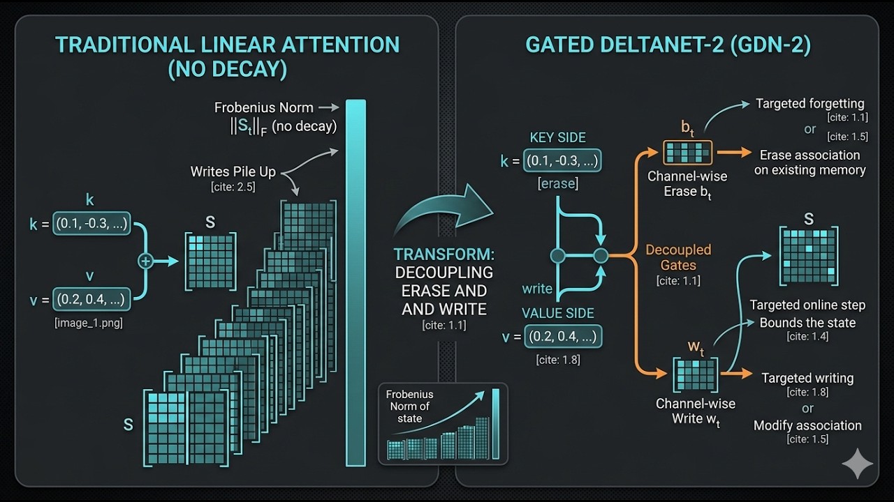 Gated DeltaNet-2: Decoupling Erase and Write in Linear Attention