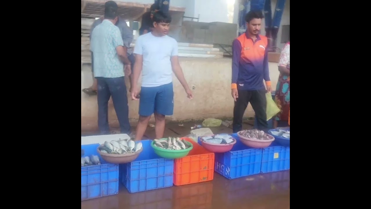 Exploring the Vibrant Madgaon Fish Market in Goa - A Seafood Lover's Paradise! #Madgaon #FishMarket