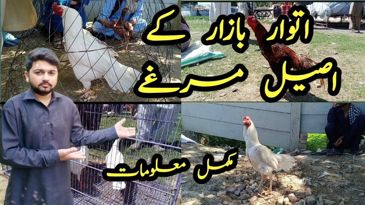 Aseel Market Itwar Bazaar Wah Cantt | 09-04-23 | Mobeen Ahmed Awan
