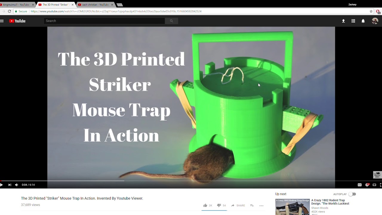 3D Printed Striker Mousetrap: Credibility Thief RESOLVED