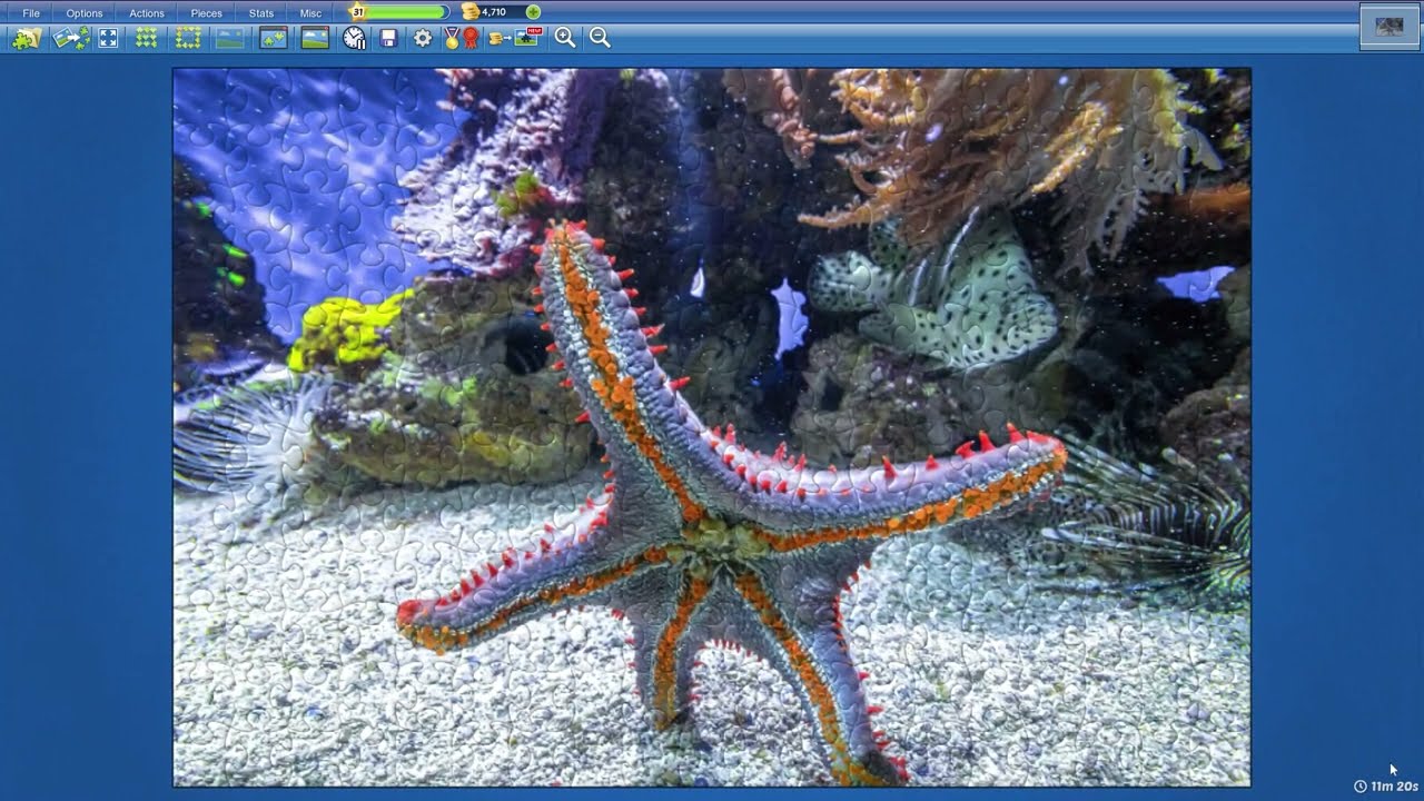 Starfish Stands in 11min20s