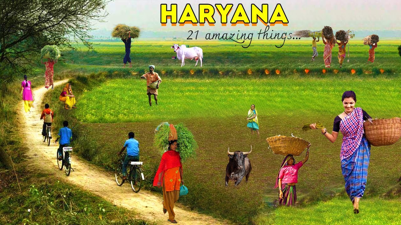 ஹரியானா மாநிலம் பற்றிய 21 ஆச்சரியமான உண்மைகள் | 21 AMAZING THINGS ABOUT HARIYANA