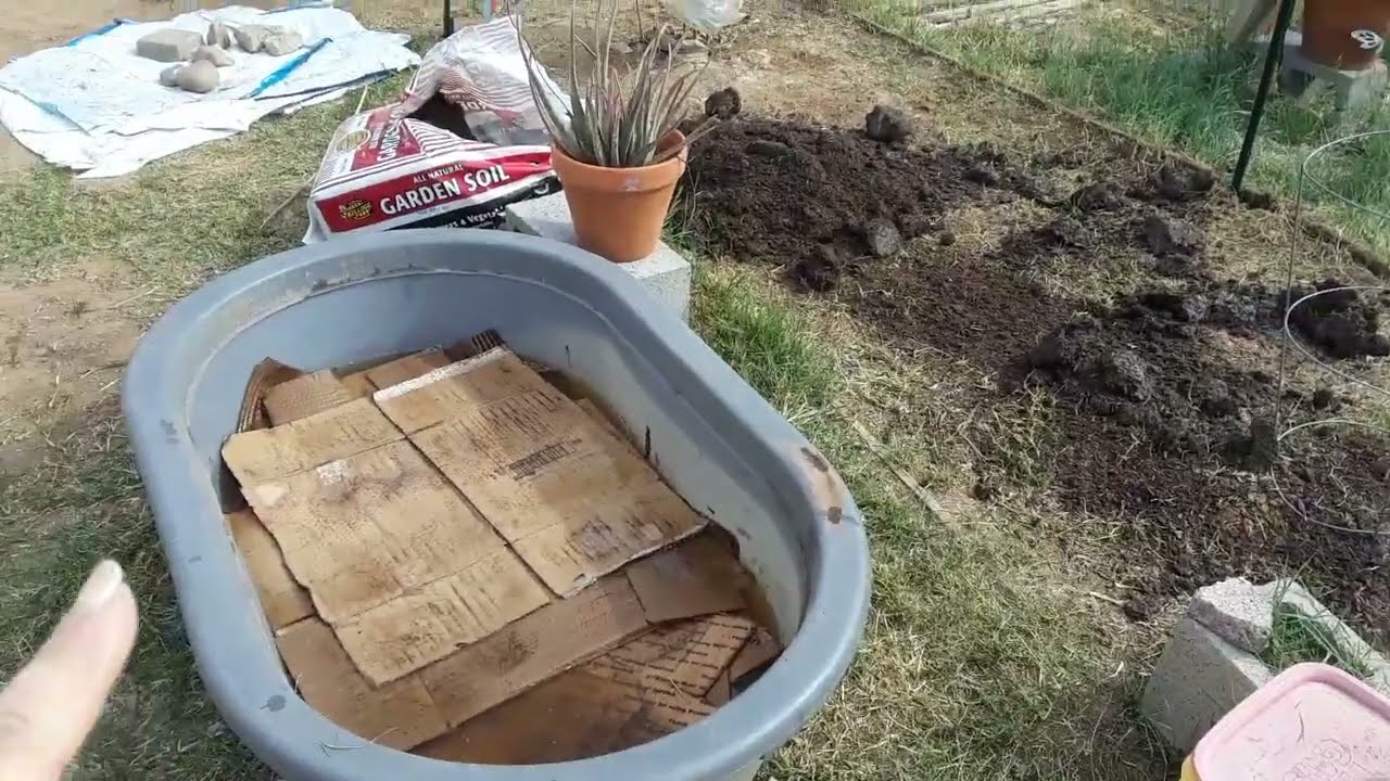 Preparing the garden bed before I plant my summer crop. Garden update 2 7 26.