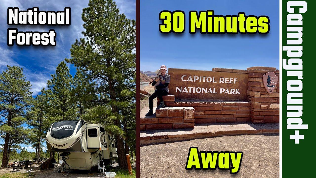 Singletree Campground NF Full Tour/Capitol Reef NP (RV Living Full Time) 4K
