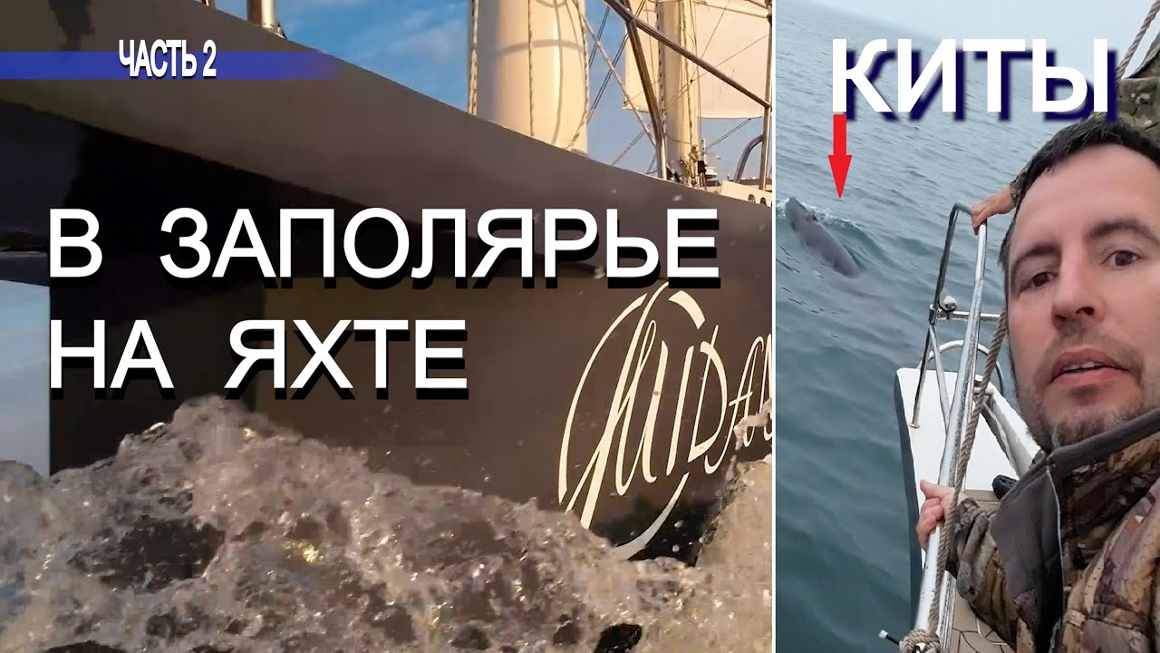79 | Пограничники | КИТЫ | на Яхте в Мурманск и НОРВЕГИЮ