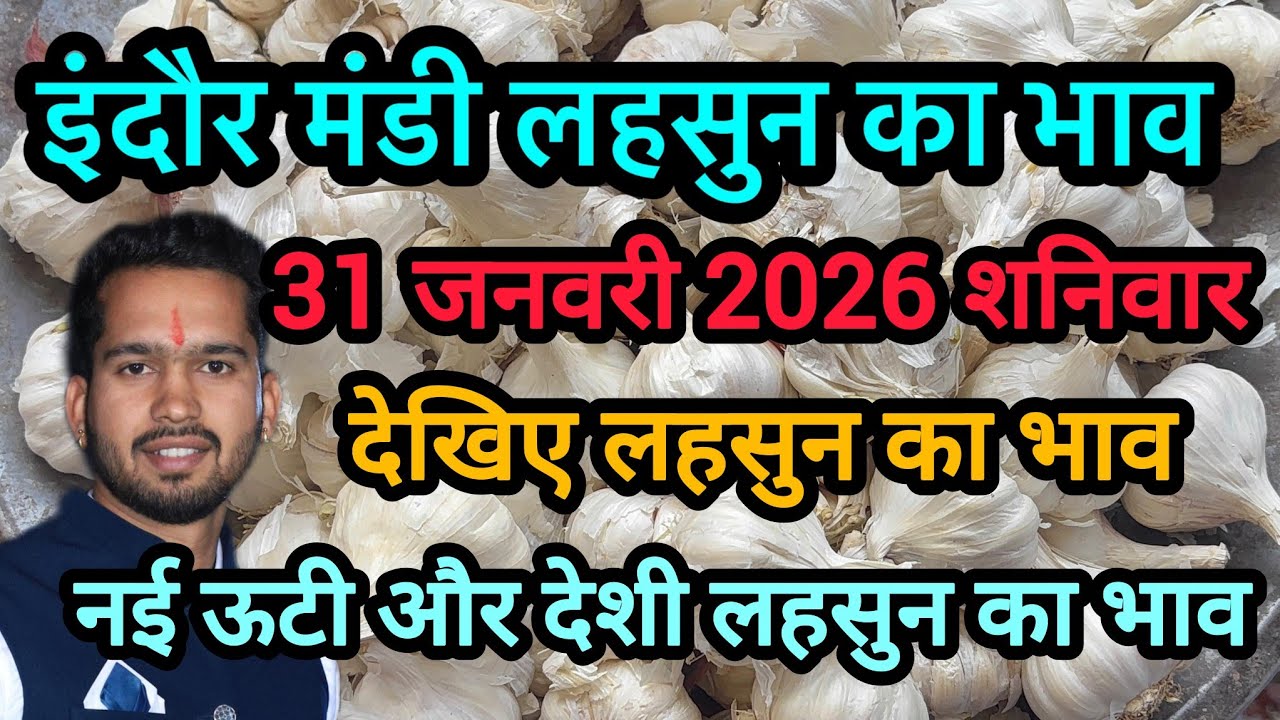 31 January 2026 indore mandi lahsun ka bhav 