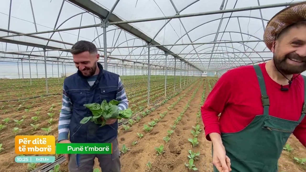 Punë t'mbarë - 30  vjeçari që studioi mardhënie ndërkombëtare por punon bujk  20.03.2023