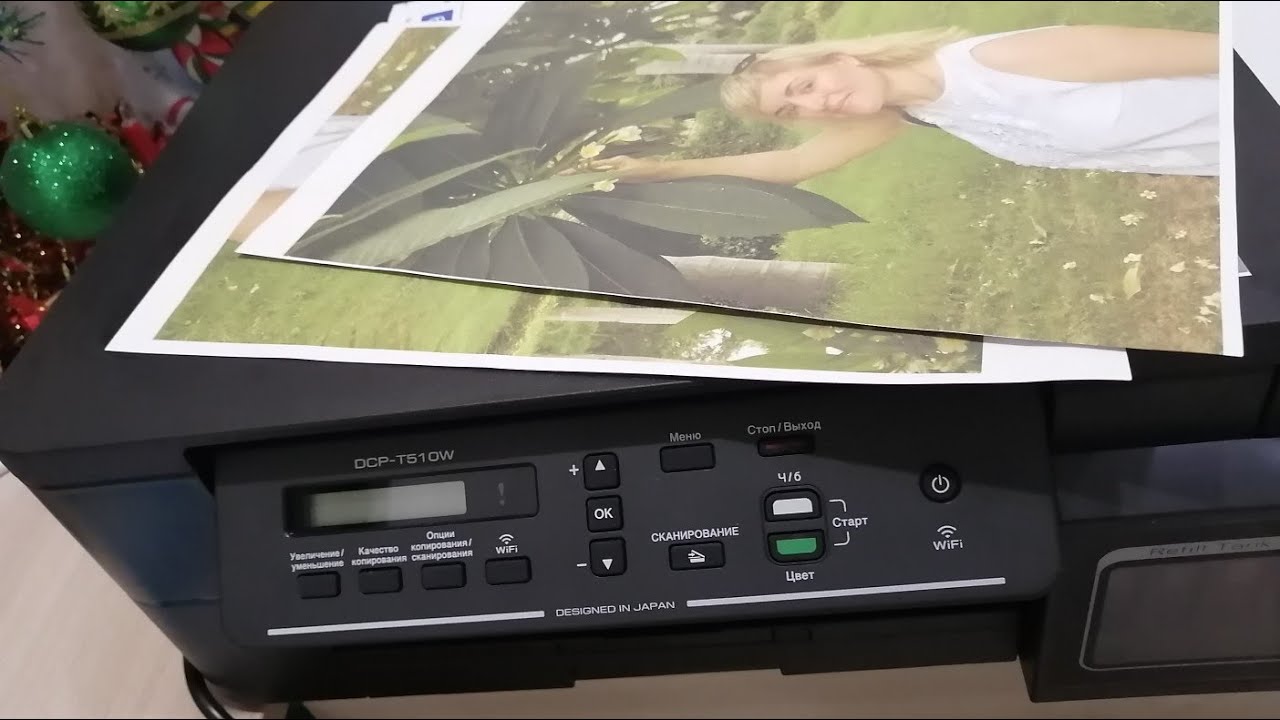 brother-510w Я ЕГО КУПИЛА! Моя покупка!