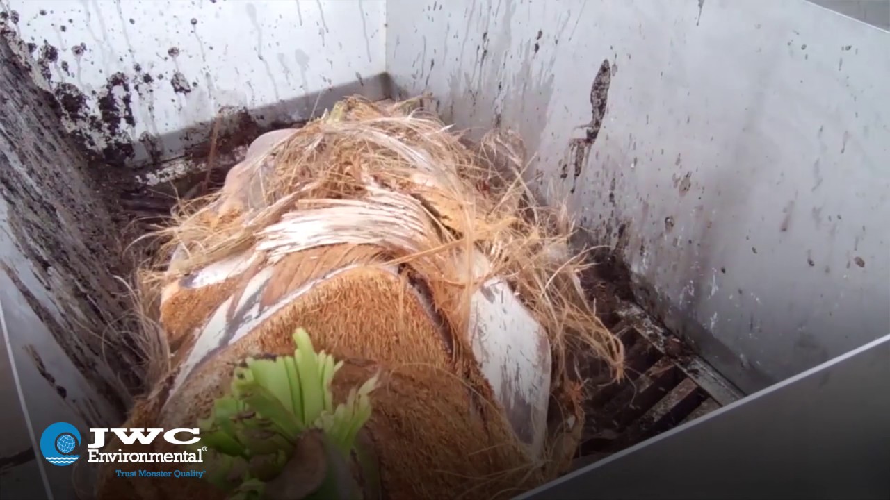 JWC Environmental: Forget The Wood Chipper!  7 SHRED Palm Tree Demo - 