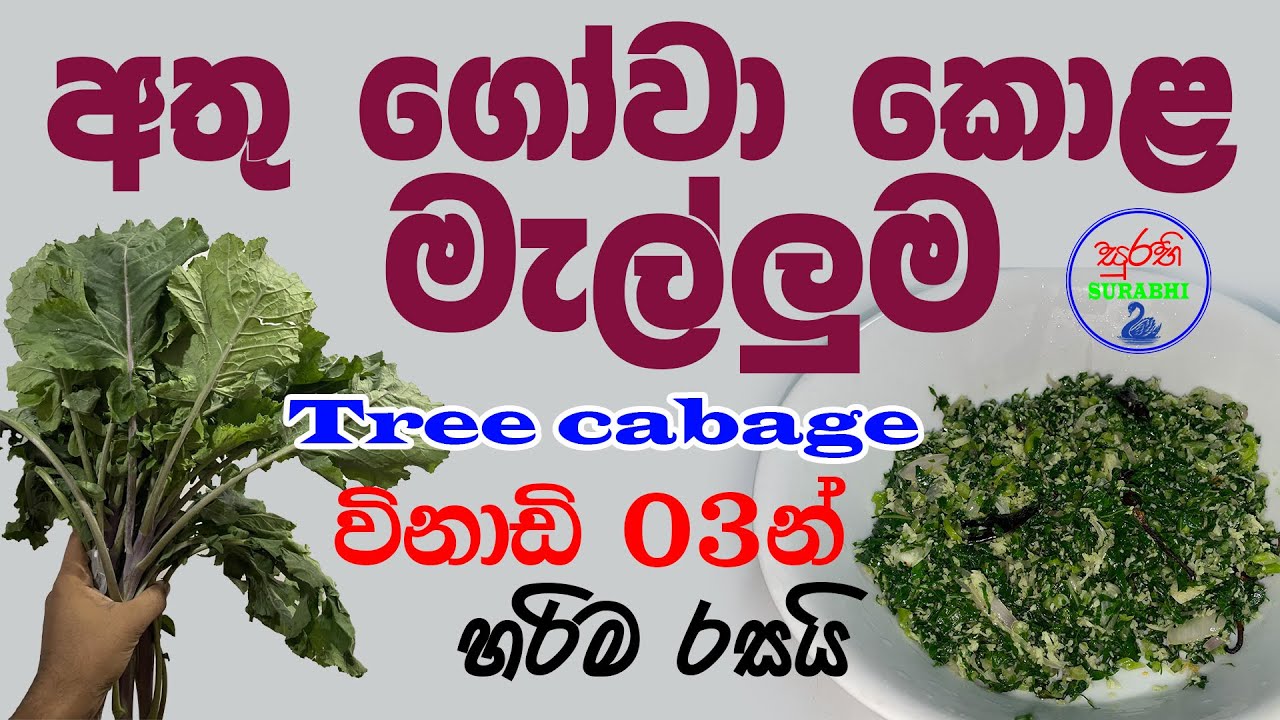 අතු ගෝවා කොළ මැල්ලුම/ගස් ගෝවා  Tree Cabbage Curry/ Athu gova melluma