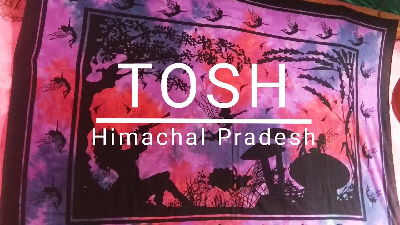 Explored Little bit of Tosh village & returning to Bhuntar