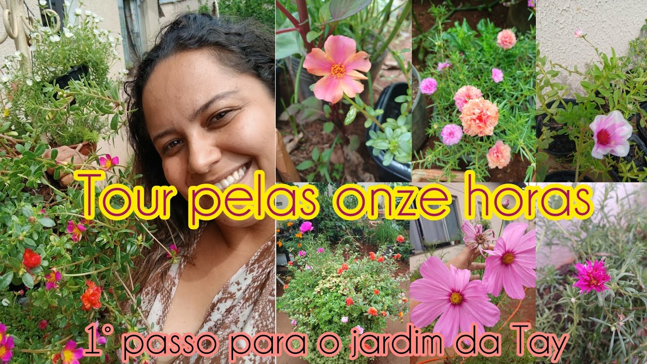 TOUR NO QUINTAL | ONZE HORAS E PORTULACAS | COMEÇANDO O JARDIM DO ZERO