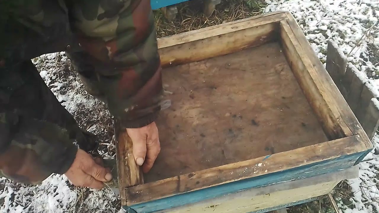 Какой улей лучше выбрать Дадан или Рутовский. Смотреть до конца.