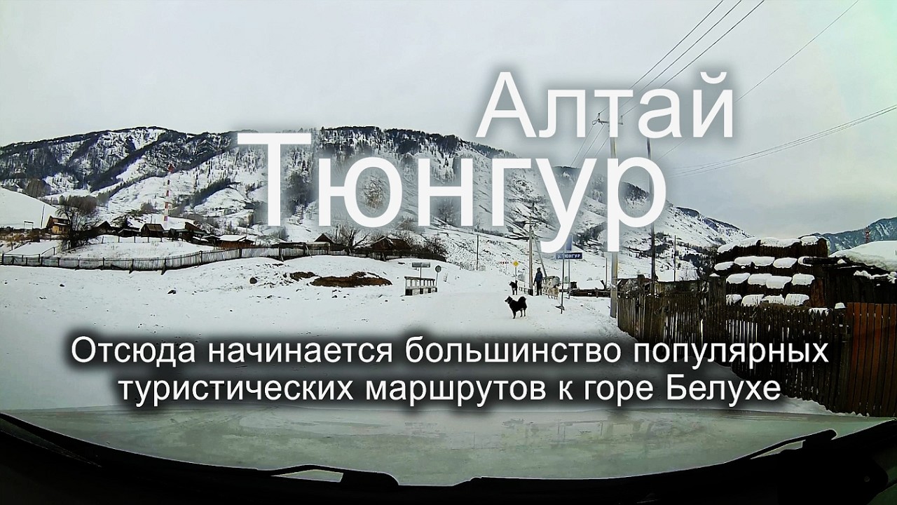 Поездка в Тюнгур. Горный Алтай. #trending #алтай #путешествия