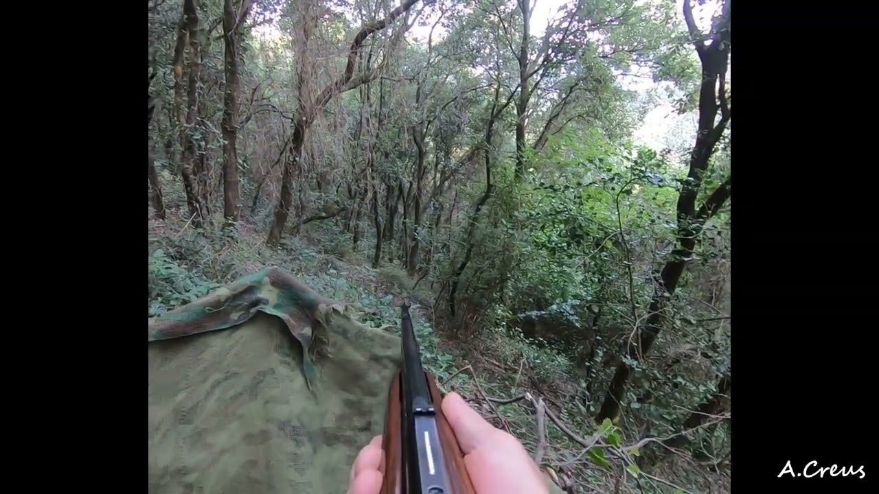 Ca&ccedil;ant el senglar a la Garrotxa - Temporada 2021-2022