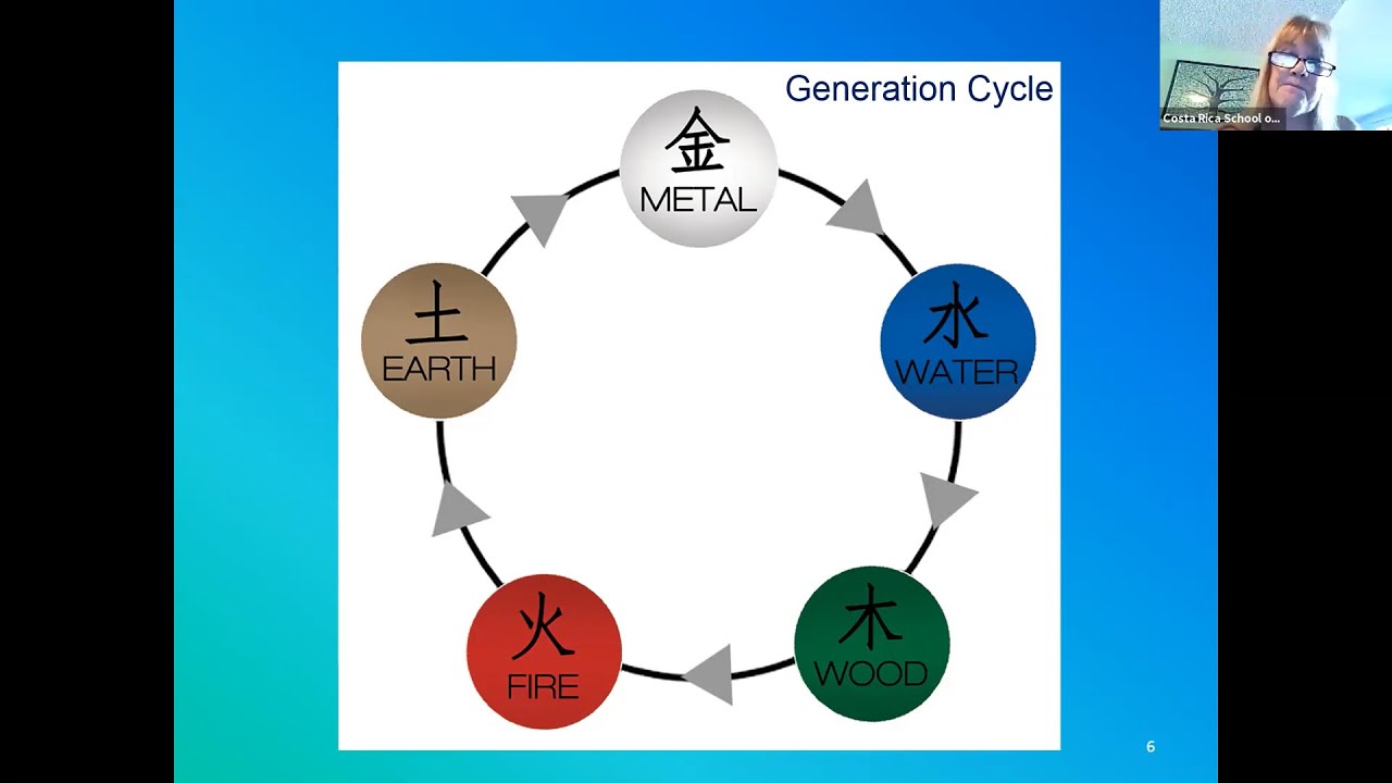 Introduction to Five Element Theory: New Perspectives with Traditional Chinese Medicine