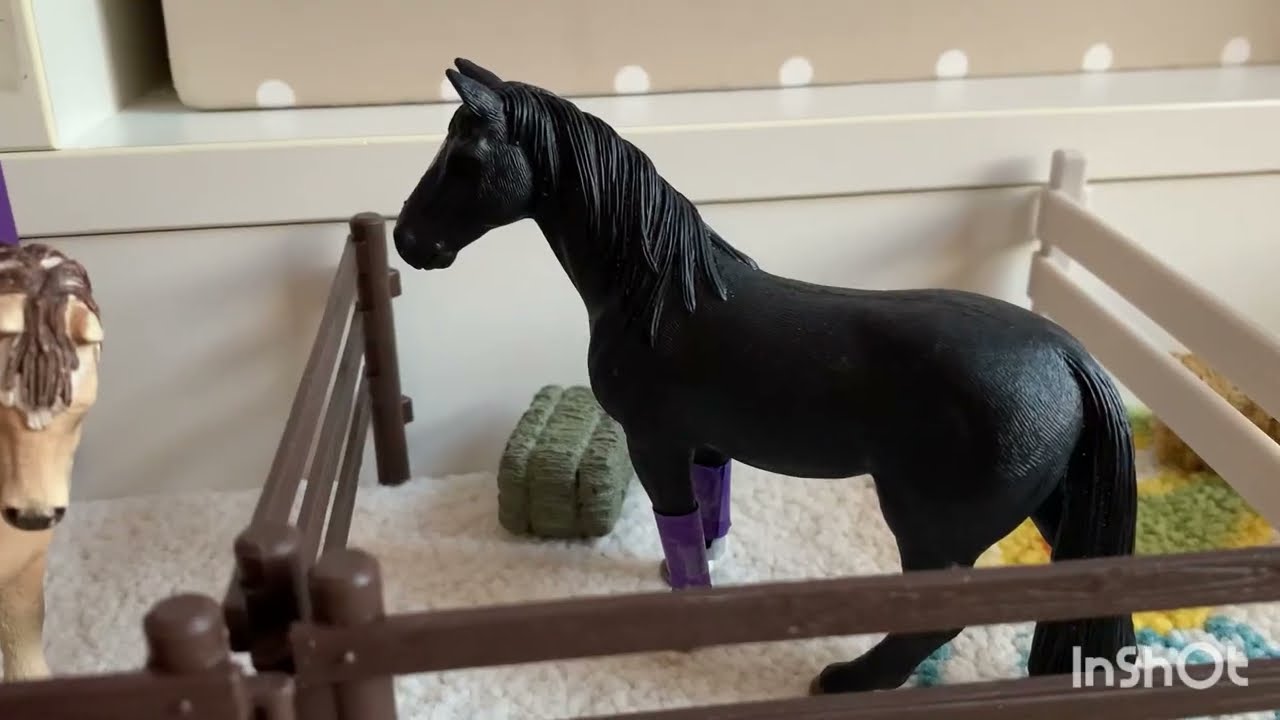 Was ist los?! |Hannahs Traum Pferd Teil 2