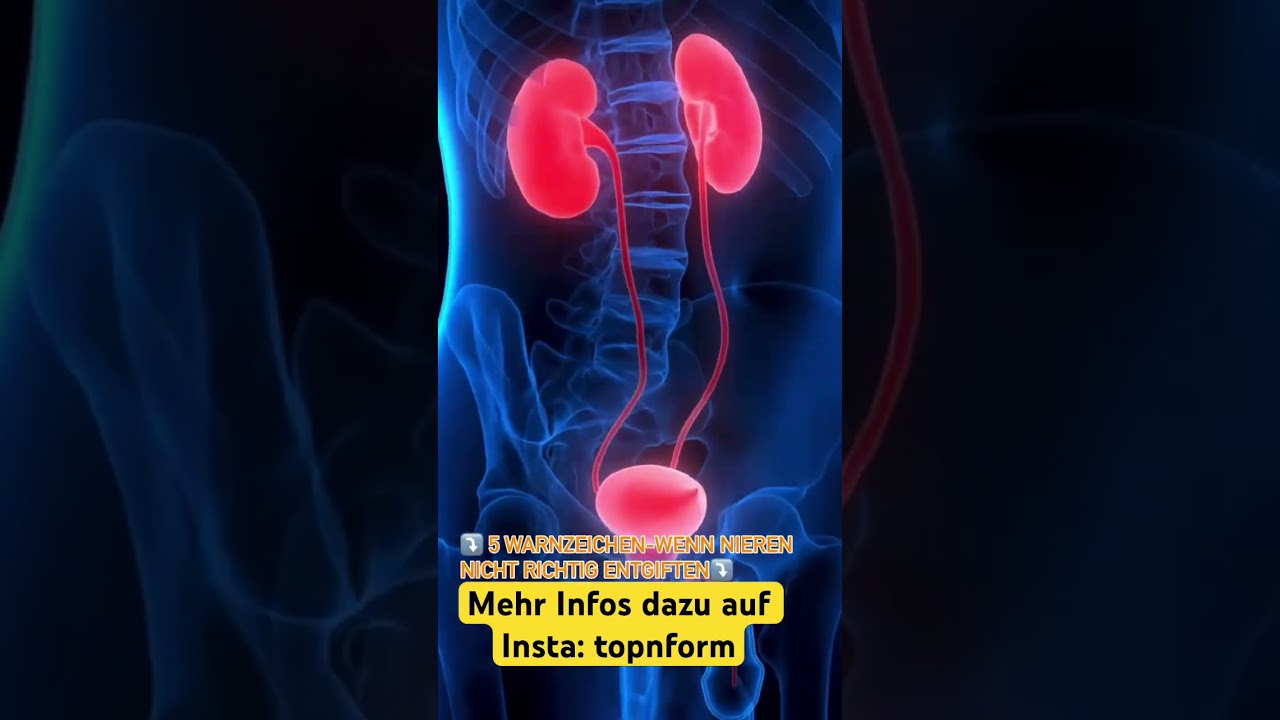 Achtung! 5 Warnzeichen, dass deine Nieren nicht mehr richtig entgiften 