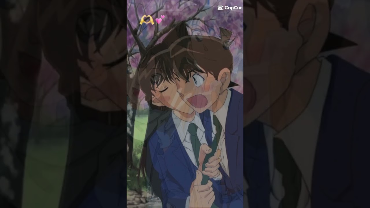 #shinran