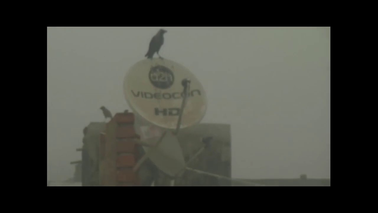 Patna Wrapped in Heavy Fog