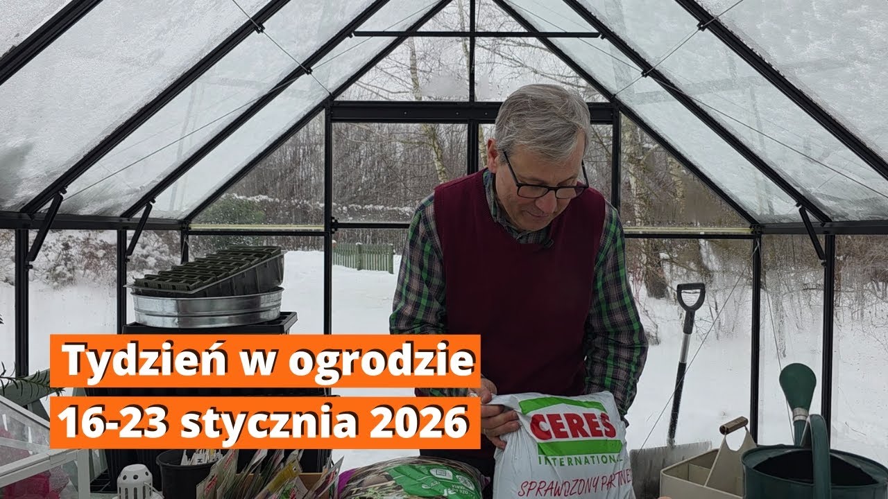 Tydzień w ogrodzie. Co robię 16 - 23 stycznia 2026. UWAGA na mróz -16°C! Oto 5 ogrodowych zadań.